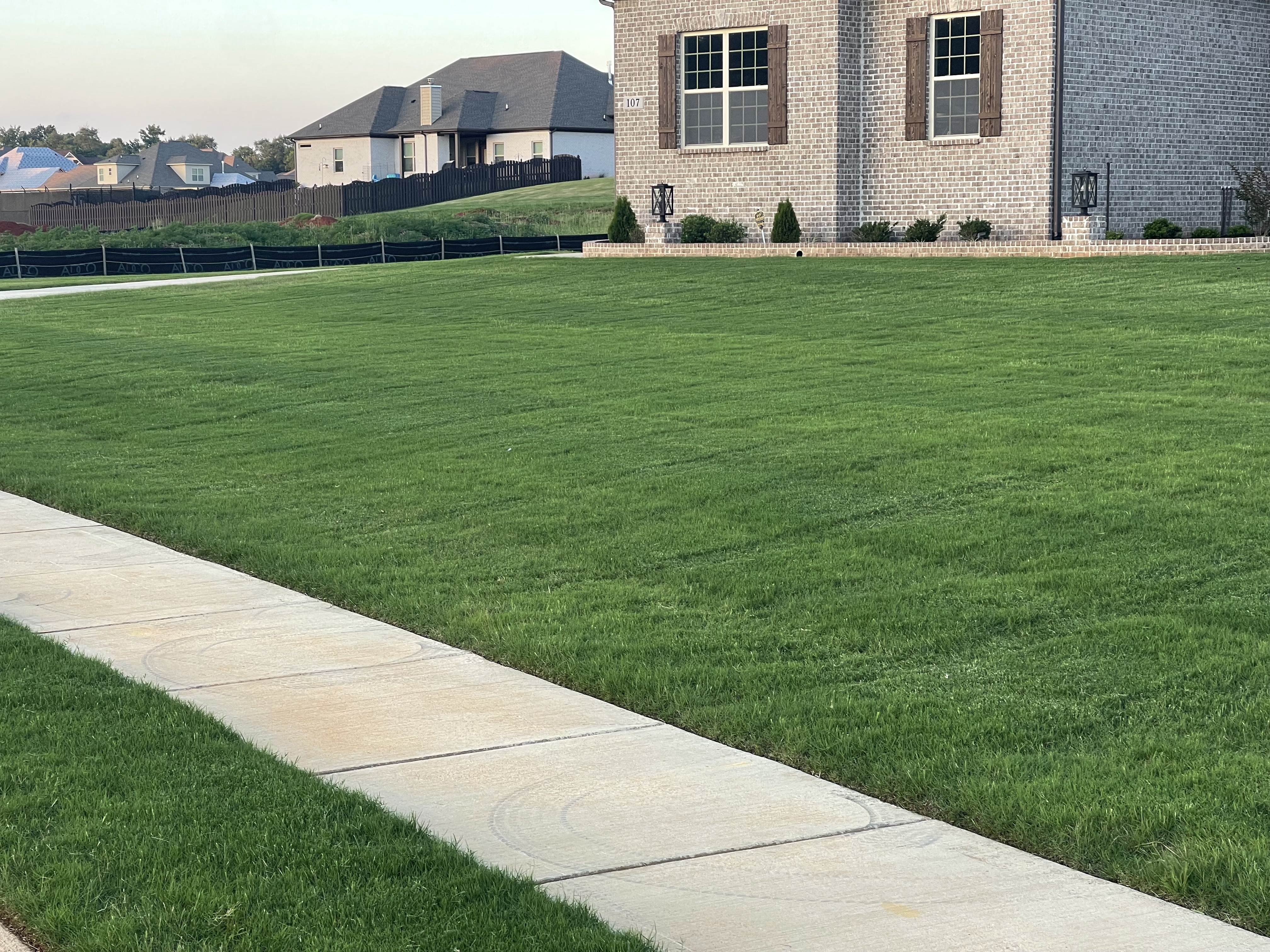 Lawn Mowing